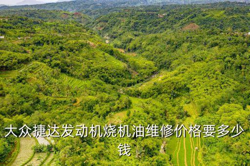 大众捷达发动机烧机油维修价格要多少钱