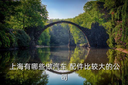  上海有哪些做汽车 配件比较大的公司
