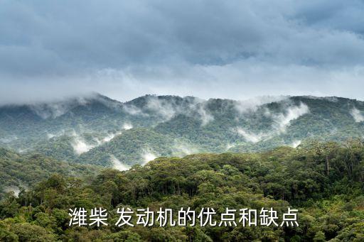  潍柴 发动机的优点和缺点