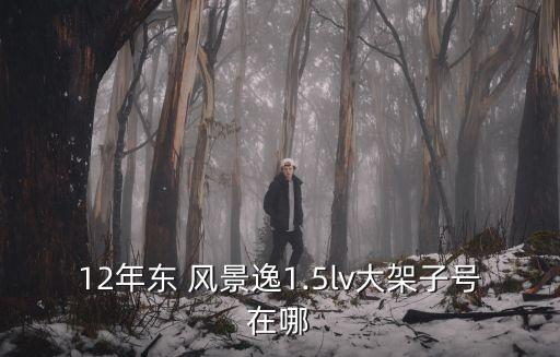12年东 风景逸1.5lv大架子号在哪