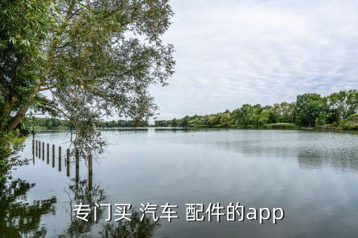 专门买 汽车 配件的app