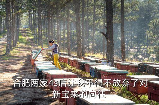  合肥两家4s店让我不得不放弃了对新宝来的向往