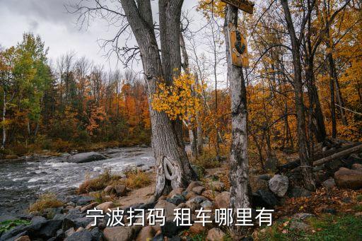 宁波扫码 租车哪里有