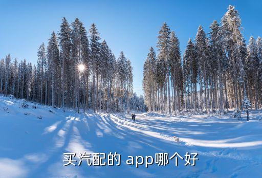 买汽配的 app哪个好