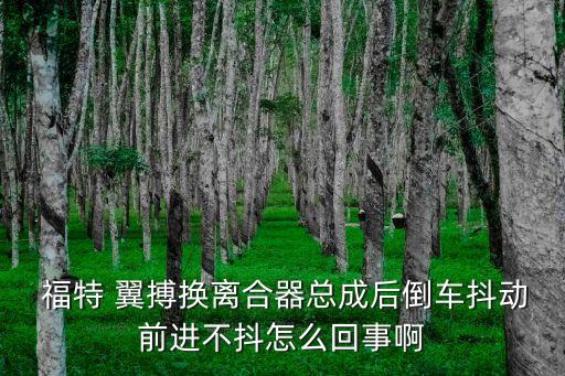  福特 翼搏换离合器总成后倒车抖动前进不抖怎么回事啊