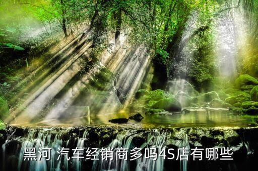 黑河 汽车经销商多吗4S店有哪些