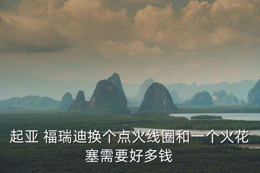 起亚 福瑞迪换个点火线圈和一个火花塞需要好多钱