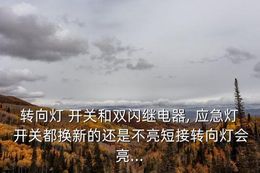 转向灯 开关和双闪继电器, 应急灯 开关都换新的还是不亮短接转向灯会亮...