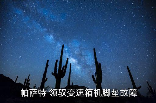 帕萨特领驭配件