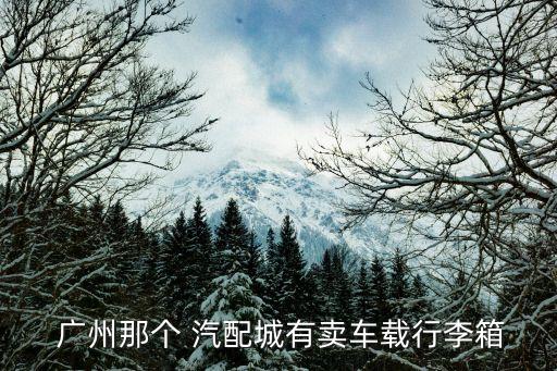  广州那个 汽配城有卖车载行李箱