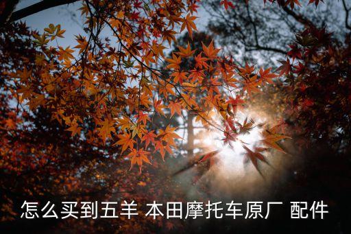 怎么买到五羊 本田摩托车原厂 配件