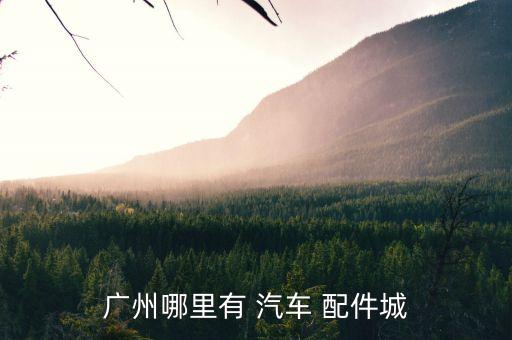 广州哪里有 汽车 配件城