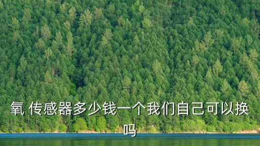 氧 传感器多少钱一个我们自己可以换吗
