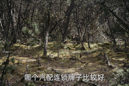 哪个汽配连锁牌子比较好