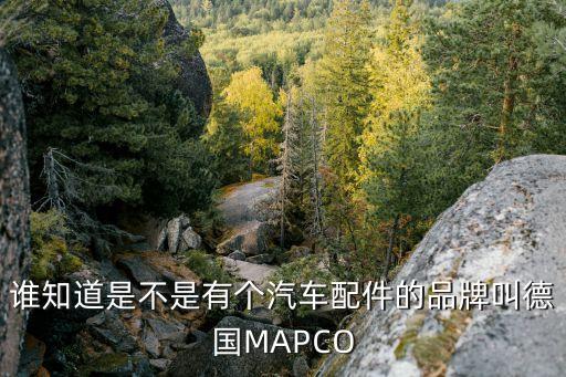 谁知道是不是有个汽车配件的品牌叫德国MAPCO