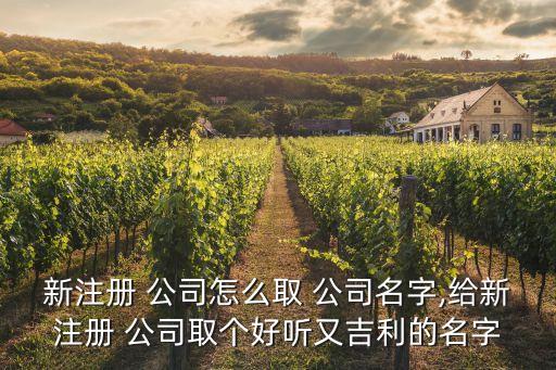 新注册 公司怎么取 公司名字,给新注册 公司取个好听又吉利的名字