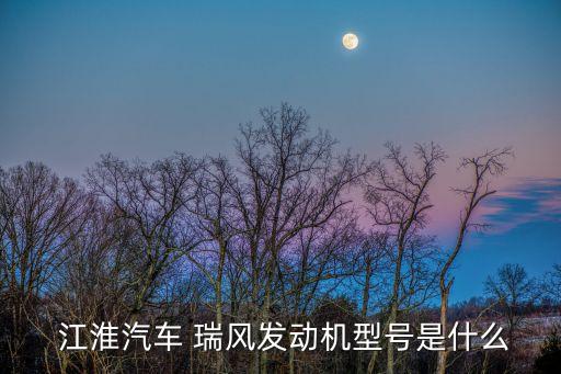  江淮汽车 瑞风发动机型号是什么