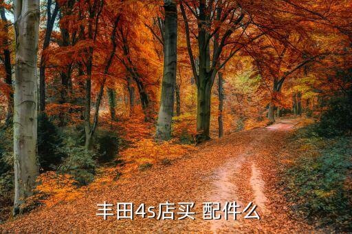  丰田4s店买 配件么