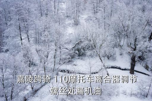  嘉陵跨骑 110摩托车离合器调节螺丝处漏机油