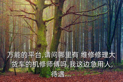 万能的平台,请问哪里有 维修修理大 货车的机修师傅吗,我这边急用人,待遇...
