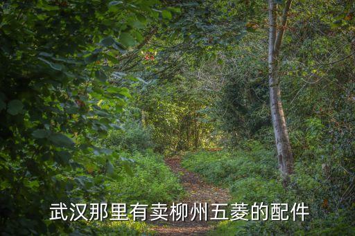  武汉那里有卖柳州五菱的配件