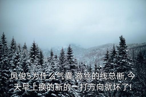 风俊5为什么气囊 游丝的线总断,今天早上换的新的一打方向就坏了!