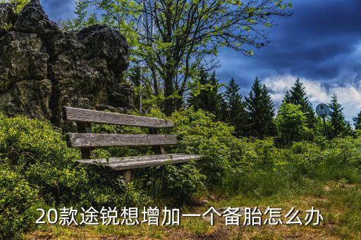 20款途锐想增加一个备胎怎么办