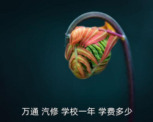 杭州万通汽修学校学费多少