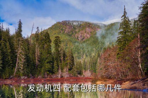  发动机四 配套包括哪几件