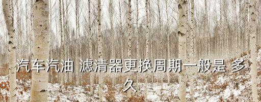 马勒机油滤清多久换,机油滤清马勒和曼牌哪个好