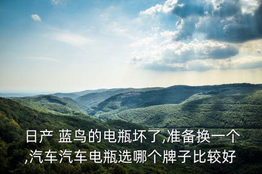  日产 蓝鸟的电瓶坏了,准备换一个,汽车汽车电瓶选哪个牌子比较好