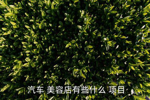  汽车 美容店有些什么 项目