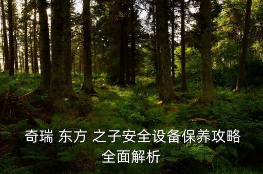  奇瑞 东方 之子安全设备保养攻略全面解析