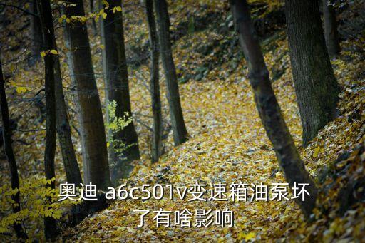  奥迪 a6c501v变速箱油泵坏了有啥影响