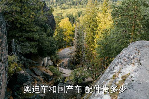  奥迪车和国产车 配件贵多少