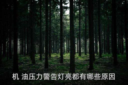 机 油压力警告灯亮都有哪些原因