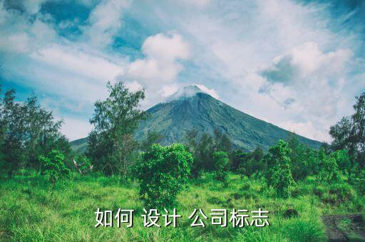 如何 设计 公司标志