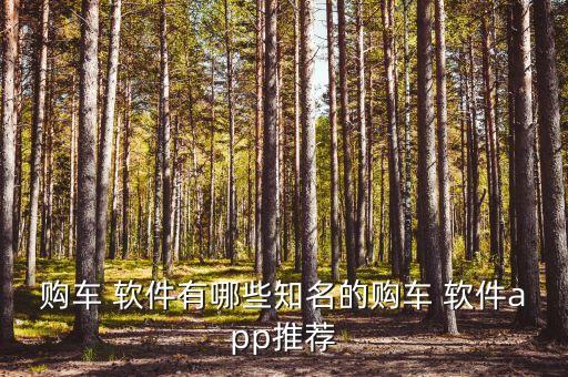 购车 软件有哪些知名的购车 软件app推荐