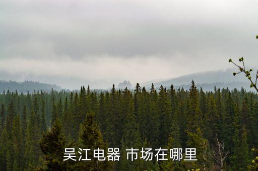  吴江电器 市场在哪里