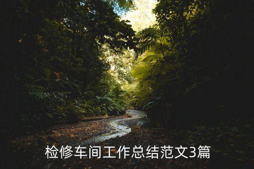 汽机检修个人工作总结,检修人员个人工作总结400字