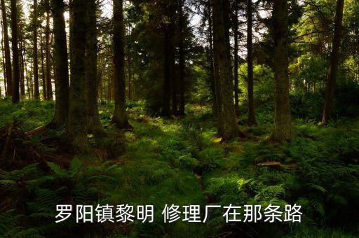 罗阳镇黎明 修理厂在那条路