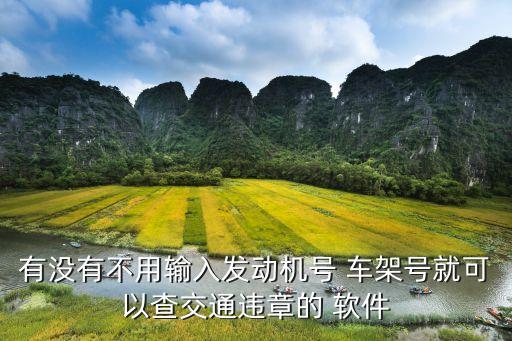有没有不用输入发动机号 车架号就可以查交通违章的 软件