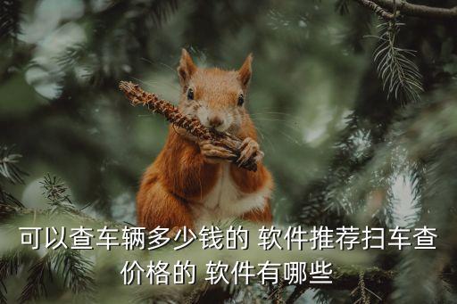 可以查车辆多少钱的 软件推荐扫车查价格的 软件有哪些