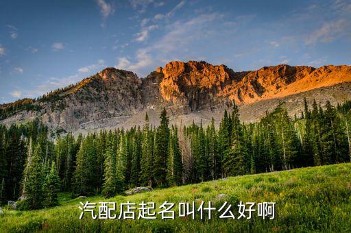  汽配店起名叫什么好啊