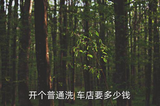 开个普通洗 车店要多少钱