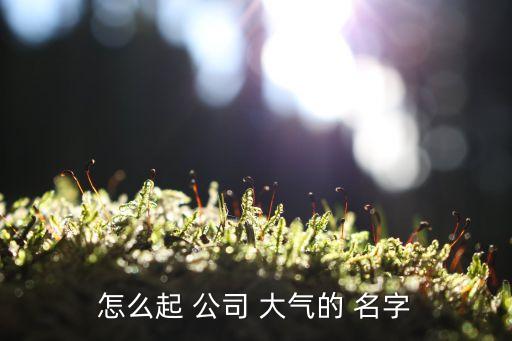 如何取大气的公司名字,公司名字简单大气