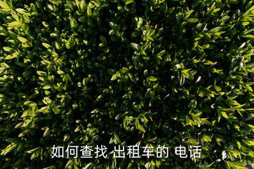 如何查找 出租车的 电话