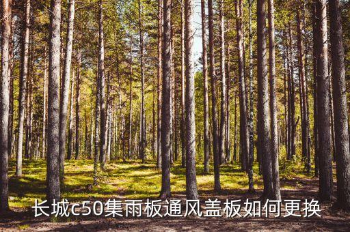 长城汽车C50配件,长城C50停产了,配件好买吗