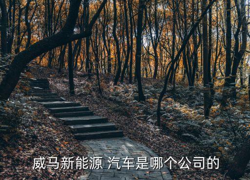  威马新能源 汽车是哪个公司的