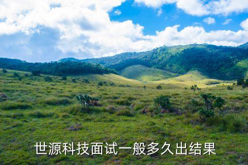  世源科技面试一般多久出结果